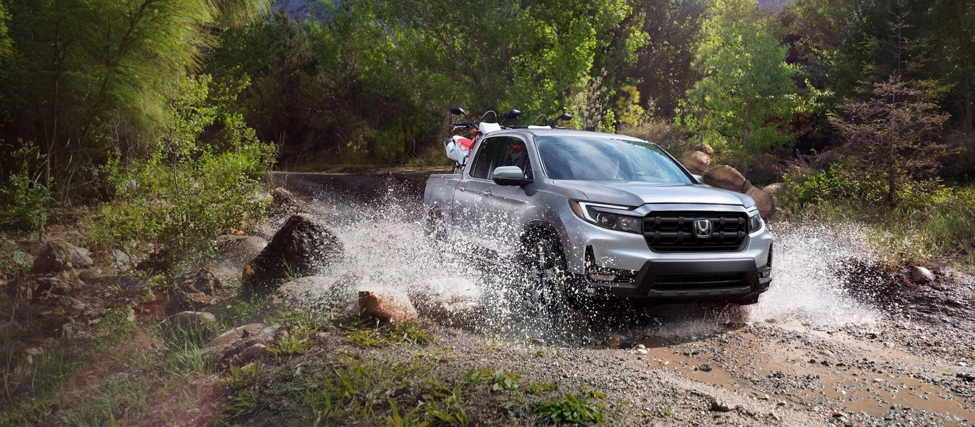 Dominio en cualquier terreno